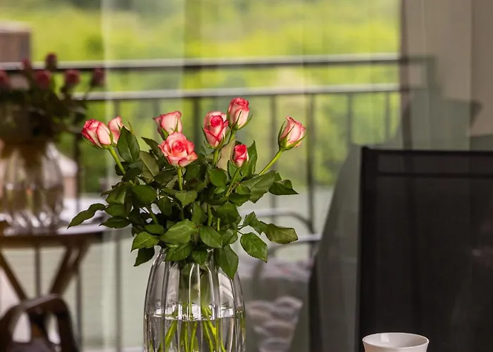 Apartment Azabia Luxury - View *